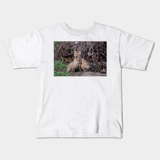 Fox Kits Kids T-Shirt